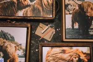 Bild zeigt Kunstwerke von Felix Schelb- Bilder in Schubladen